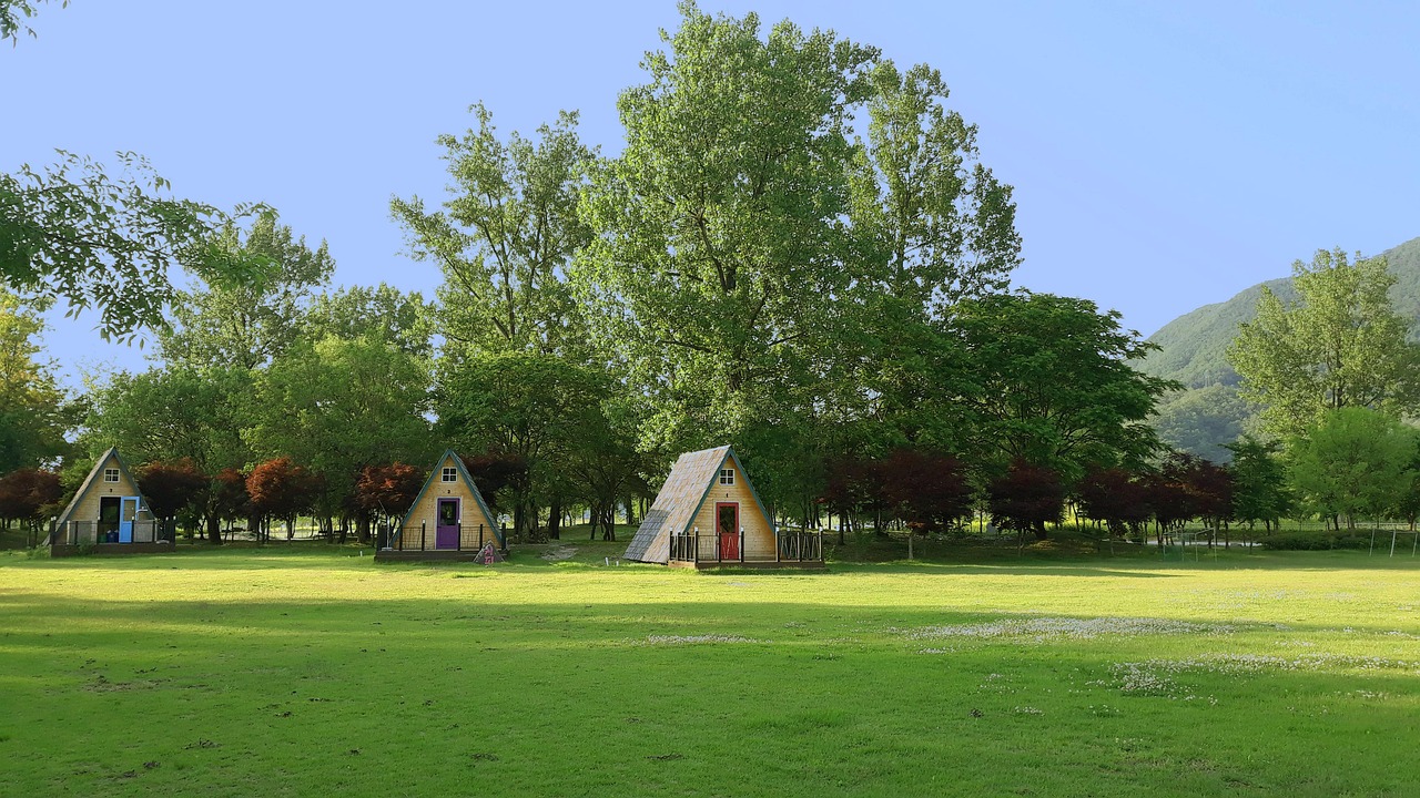 清水公園キャンプ場 電車キャンプ（イメージ写真）